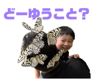 842403284