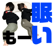 842403297