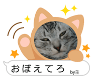 842403470