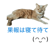 842403730