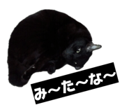 842403736