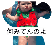 842403807
