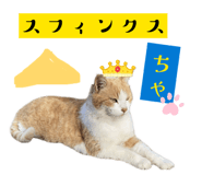 842403864