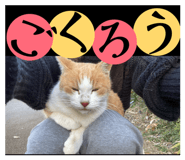 842403868