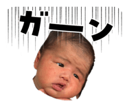 842403979