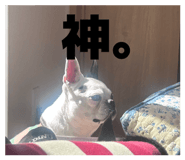 842404028