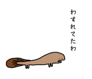 842404043