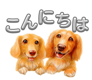 842404081