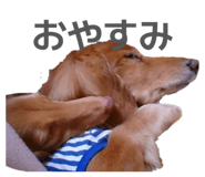 842404086