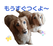 842404088