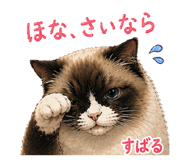842404128