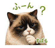 842404136