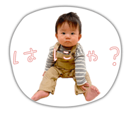 842404213