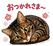 842404358