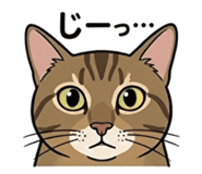 842404370