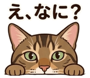 842404372