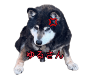 842404401