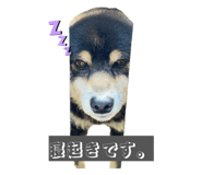 842404409