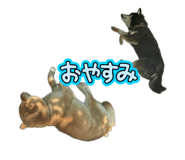 842404412