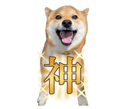 842404415