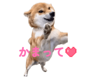 842404419