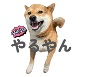842404420