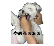 842404442