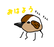842404818