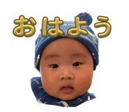 842405203
