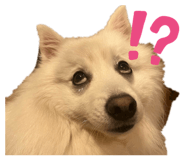842405451