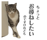 842405457