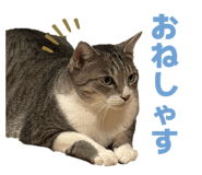 842405464