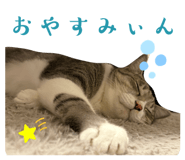 842405468