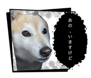 842405619