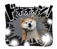 842405621