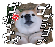 842405624