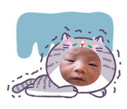 842405827