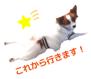 842405875