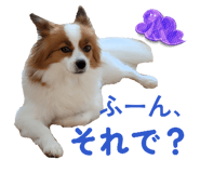 842405877