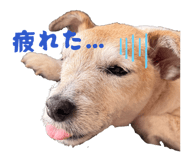 842406049