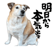842406064