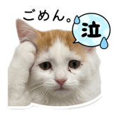 842406111