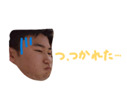 842406155