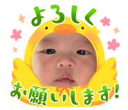 842406263