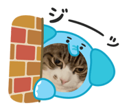 842406543
