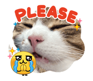 842406546