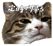 842406555