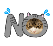 842406558