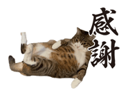 842406560