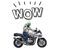 842406566